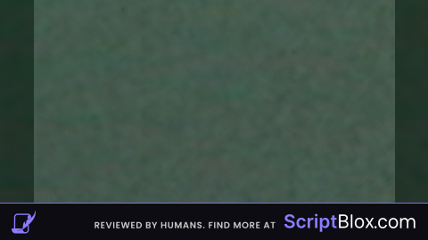 Velexy Executor script