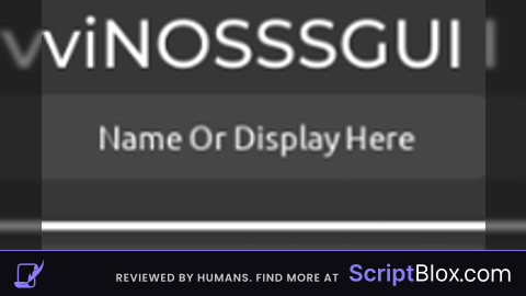 Vin Aim Viewer GUI