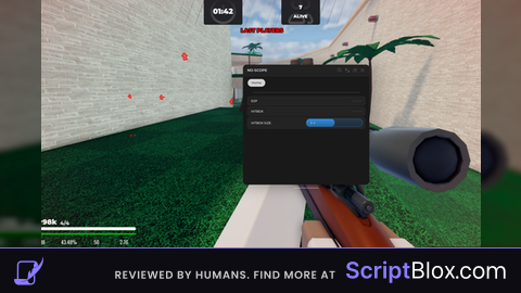 ESP HITBOX