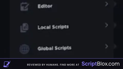 codex source code