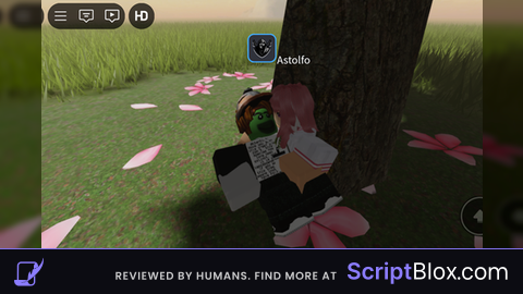 Noclip