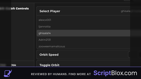 Fe Orbit Player