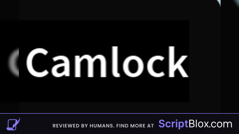Cam Lock