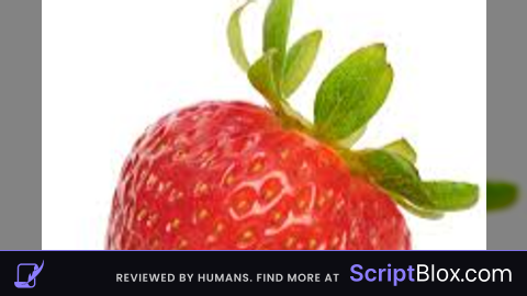 Touch fling script