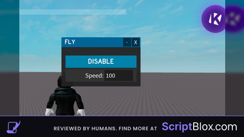 HD Admin Fly