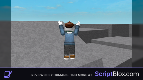 Really Cool Fly Script