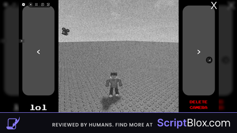 FNAF Inspired Camera Script