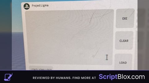 Project Ligma New