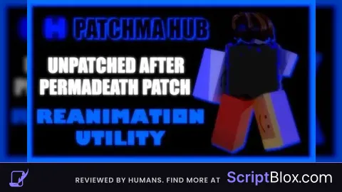 Patchma hub V27