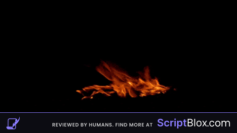Forest Fire