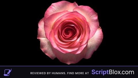 best script of all time