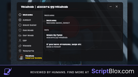 Voidhub Scripting