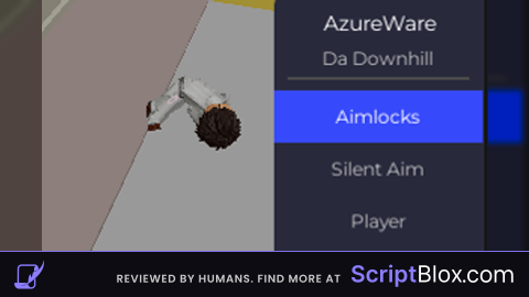 hood and   camlock and silent aim