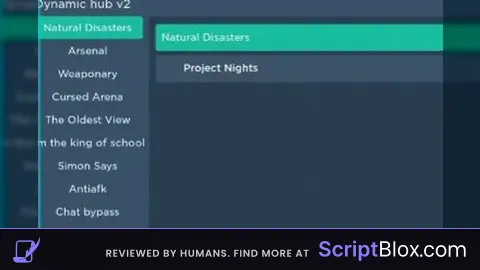 Dynamic Hub Version 1