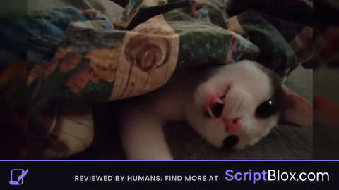 THE best universal script