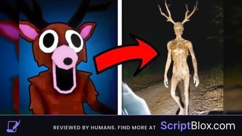 script OP