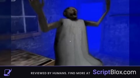 I OP Script