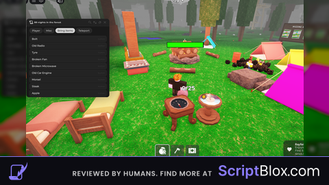 Script