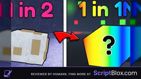 Echo Scripts