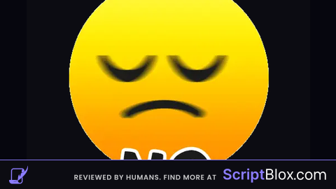 Fly script