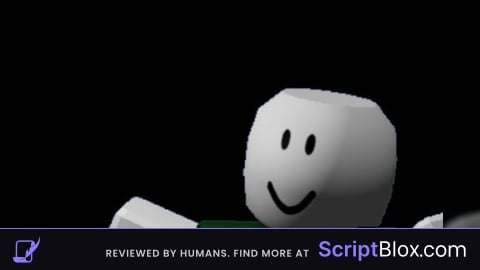 A gun