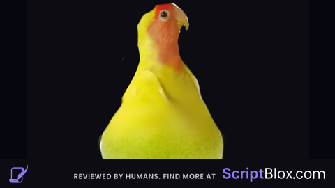 Speed 100