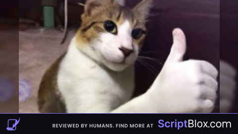 best chat bypasser