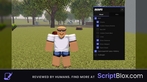 BEST ESP  bScripts