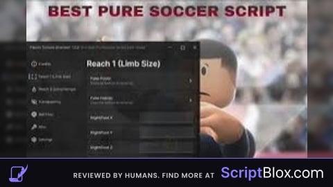 Script