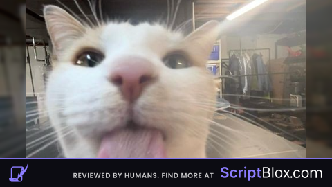 Ban script