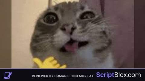 best script