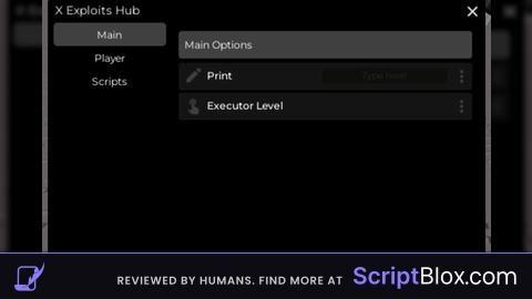X Hub Beta V2
