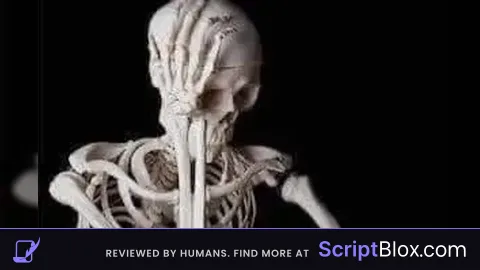 LAN SCRIPT HUB SOLARA