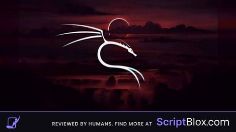 Script