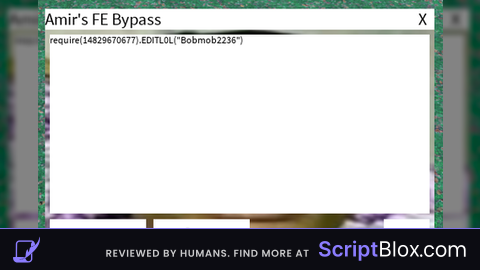 amirs backdoor executor