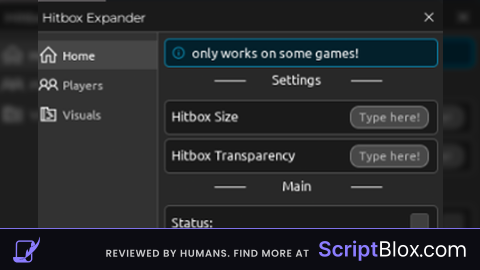 Hitbox expander