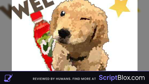 beta script hub