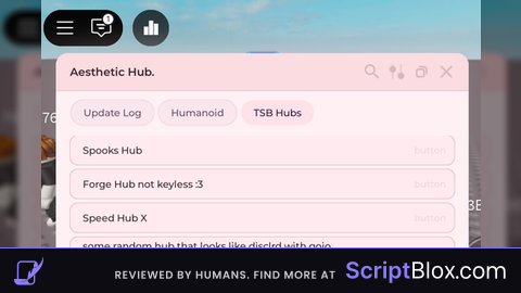 Aesthetic Hub
