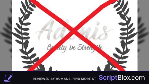 Adonis Admin Anti Crash
