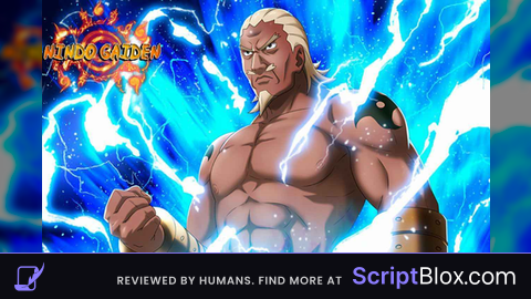 Nindo gaiden uncopylocked