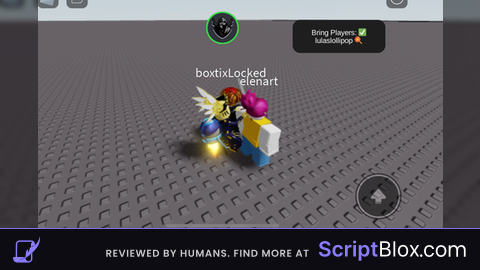 BRING PLAYERS Skript good for PvP