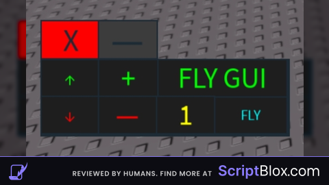 Fly