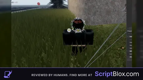 universal head hitbox works on solara