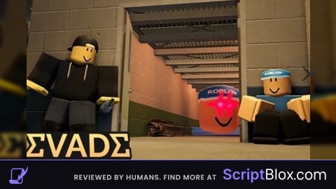 script OP