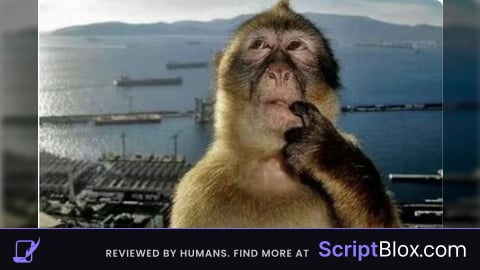 script keyless