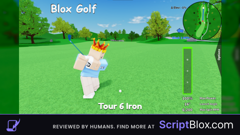 Auto hole in one