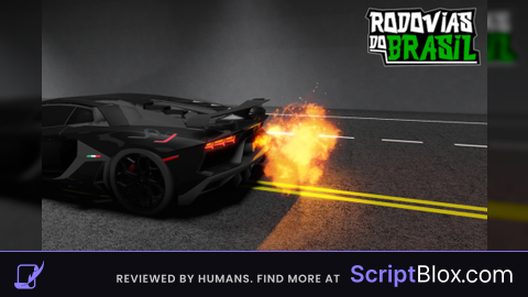 Kill all Rodoviaria Brasil