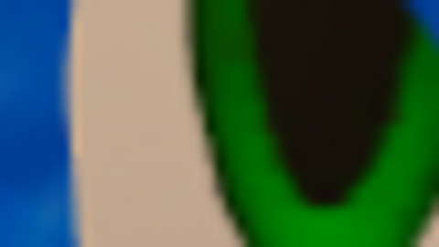 Universal Script π