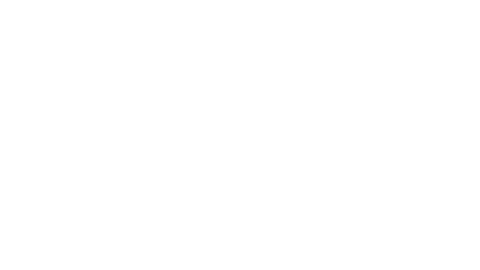 Universal Script 📌