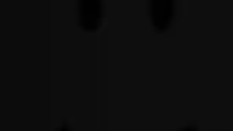 Universal Script π